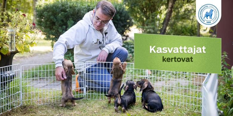 Kasvattaja mäyräkoiranpentujen kanssa ulkona