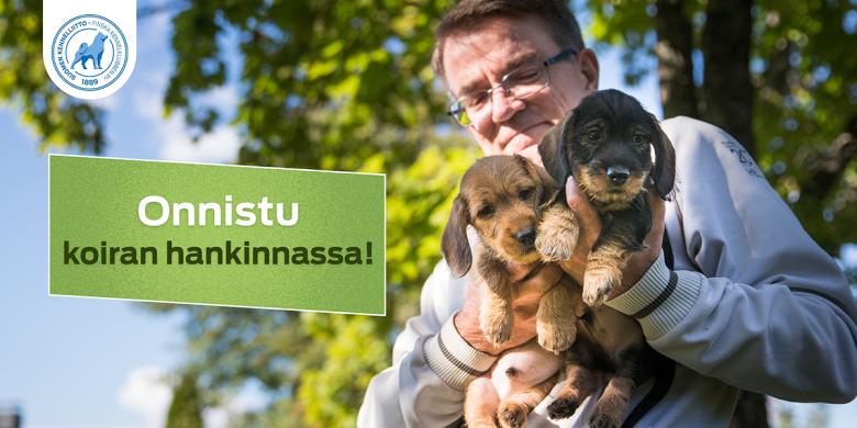 Kasvattaja mäyräkoiranpentujen kanssa